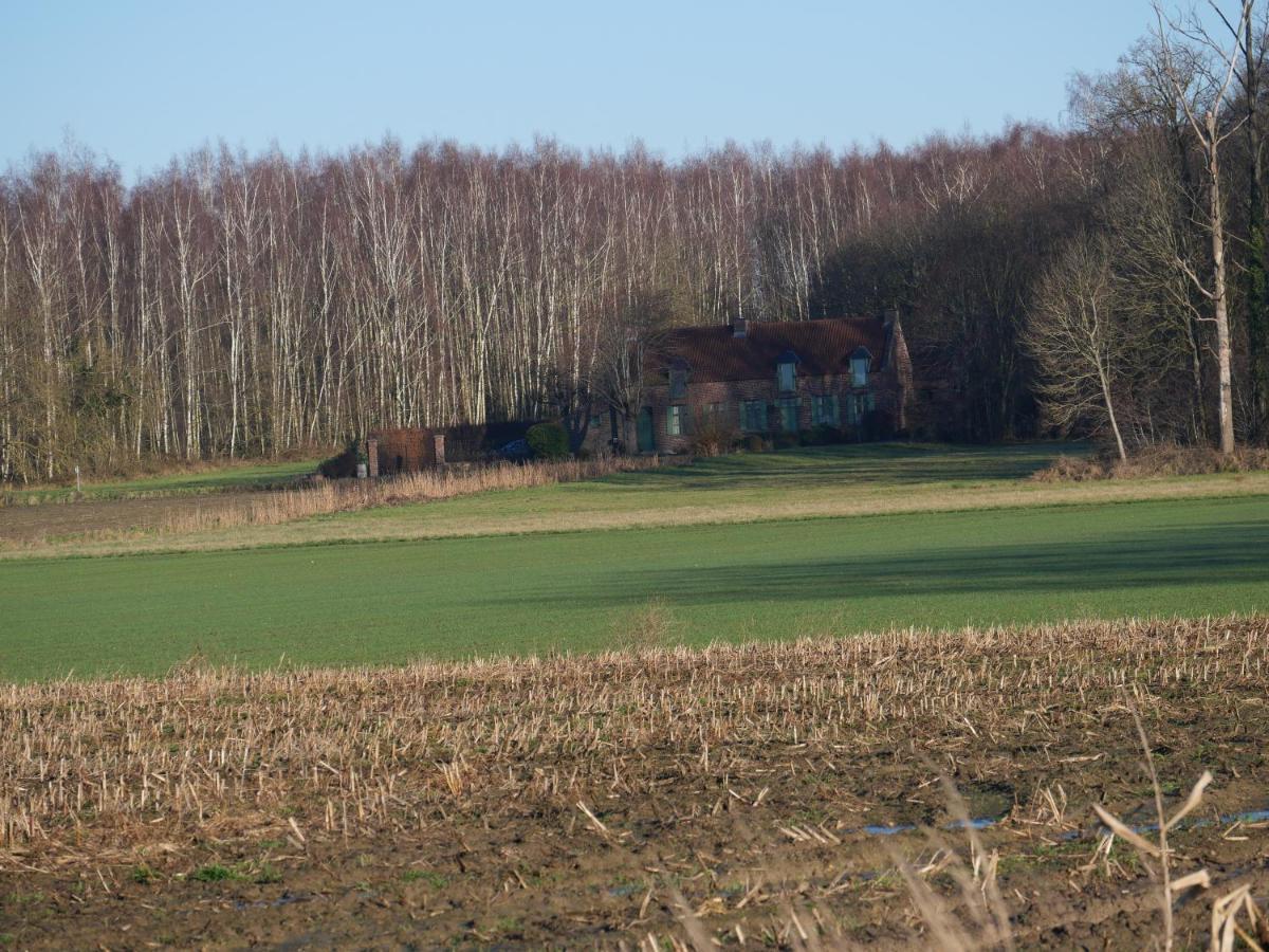 La Cabane Du Chasseur Flines-Les-Mortagne المظهر الخارجي الصورة