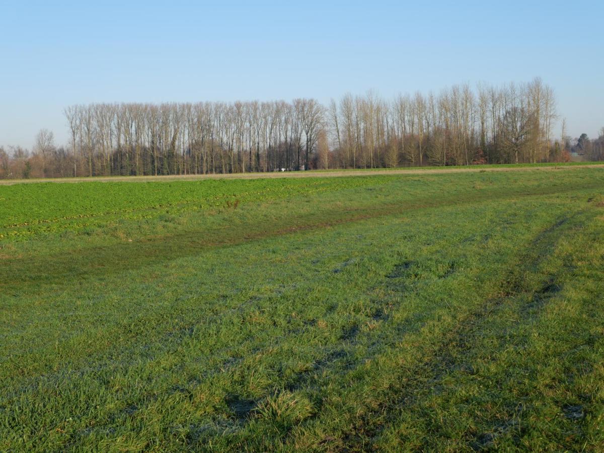 La Cabane Du Chasseur Flines-Les-Mortagne المظهر الخارجي الصورة